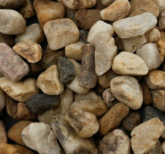 Grys czerwony Vanga 16-22