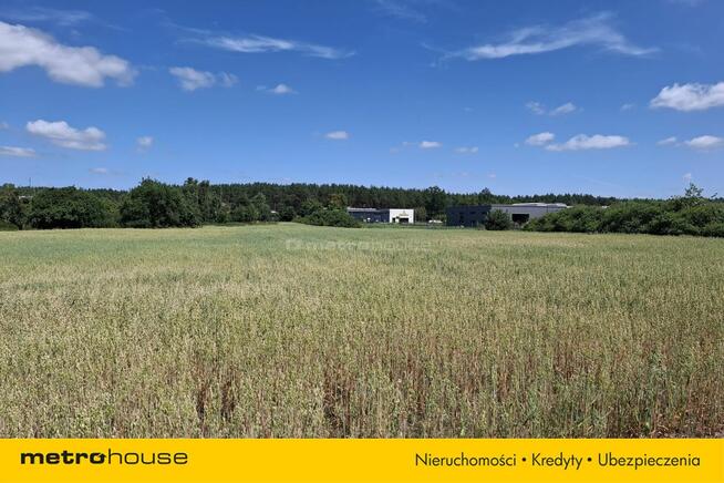 Nieruchomość pomiędzy Toruniem a Bydgoszczą