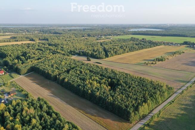 Na sprzedaż – działka rolna zalesiona, Jagodno