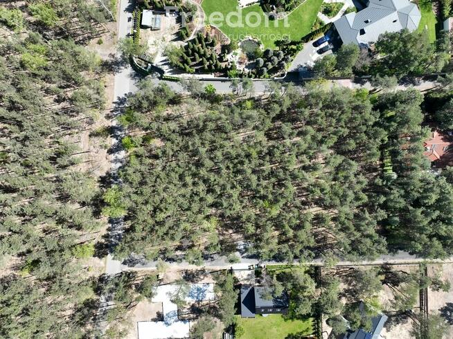 Działka 2600 m² | Prestiżowa lokalizacja | Las