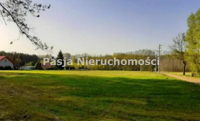 Działka Kamion gm. Nowy Duninów