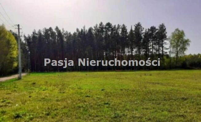 Działka Kamion gm. Nowy Duninów