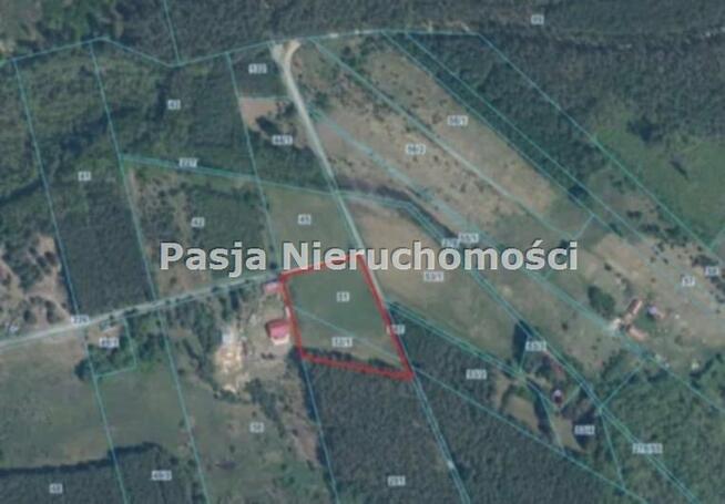 Działka Kamion gm. Nowy Duninów