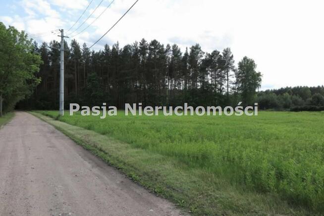 Działka Kamion gm. Nowy Duninów