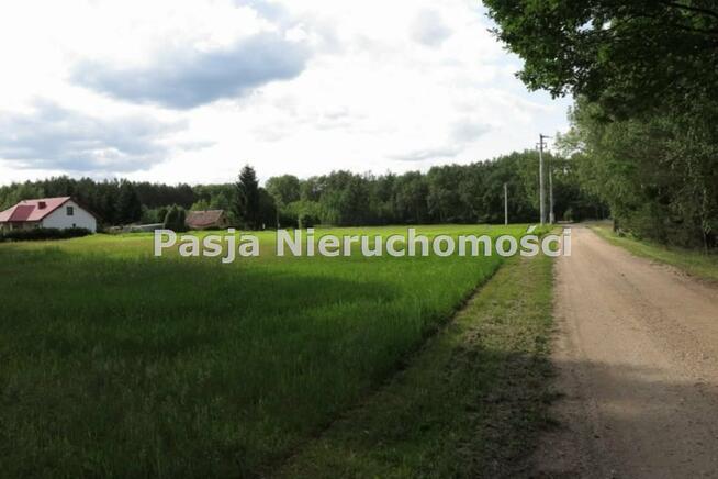 Działka Kamion gm. Nowy Duninów