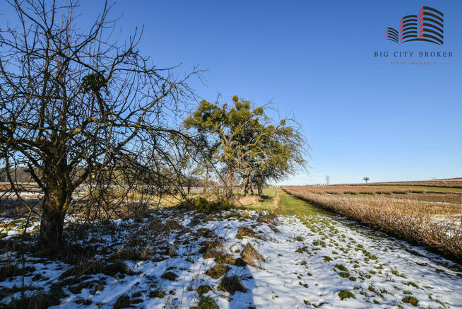 Działka siedliskowa Izdebno-Kolonia gm. Rybczewice,