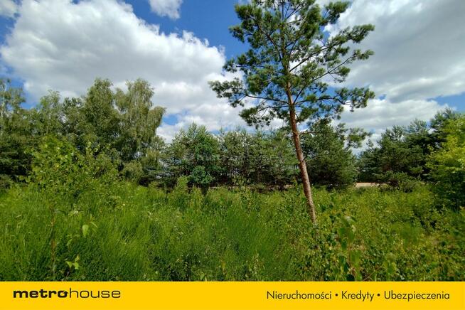 Działka budowlana przy lesie.