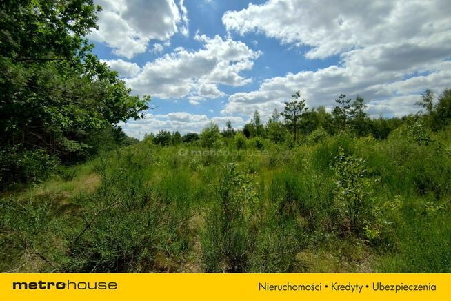 Działka budowlana przy lesie.