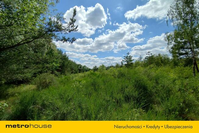 Działka budowlana przy lesie.