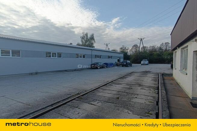 Wynajmę utwardzony ogrodzony plac w Działdowie