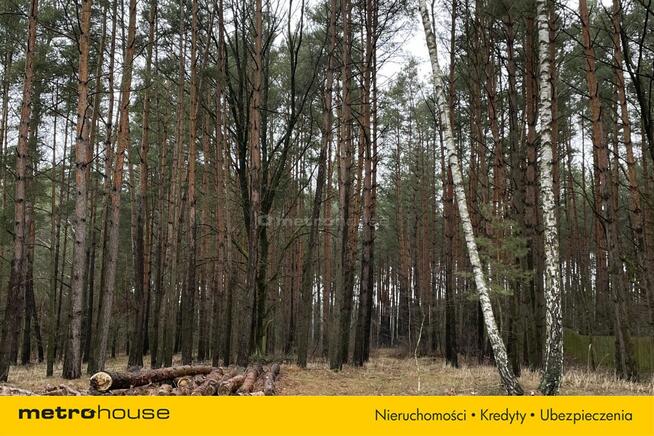 Malownicza działka 2700m2 w Kamieńczyku