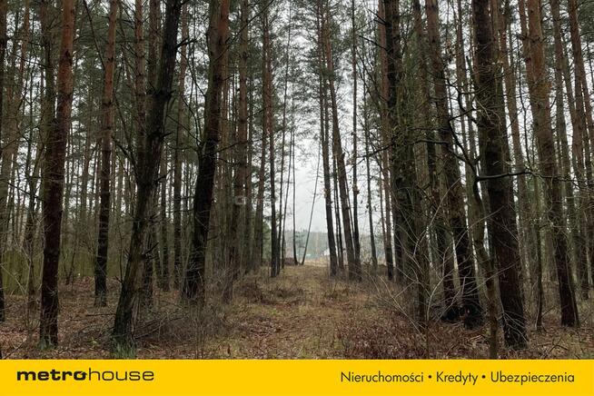 Malownicza działka 2700m2 w Kamieńczyku