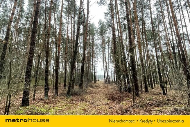 Malownicza działka 2700m2 w Kamieńczyku