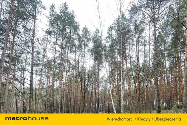 Malownicza działka 2700m2 w Kamieńczyku