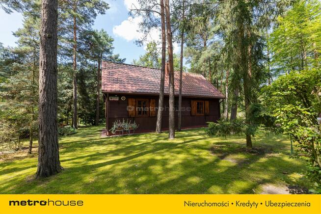 Dom drewniany 61m2 na zalesionej działce