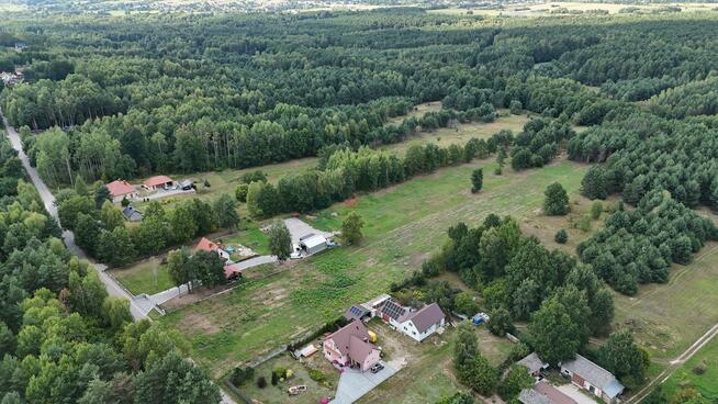 Działka budowlana Gałęzice gm. Piekoszów