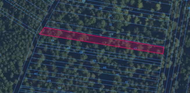 Sprzedam działki leśne w Borkach-Kosy