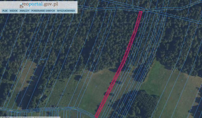 Sprzedam działki leśne w Borkach-Kosy