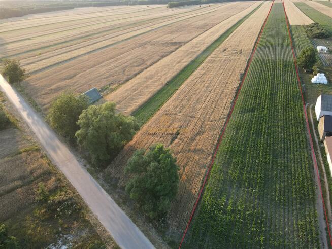 Działka Rusinów Wola Gałecka