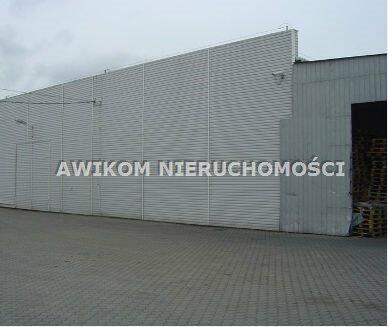 Lokal użytkowy Opacz-Kolonia gm. Michałowice