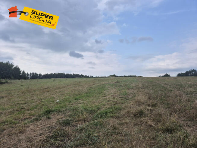 Działka rolna Wiśnicz Mały gm. Nowy Wiśnicz,