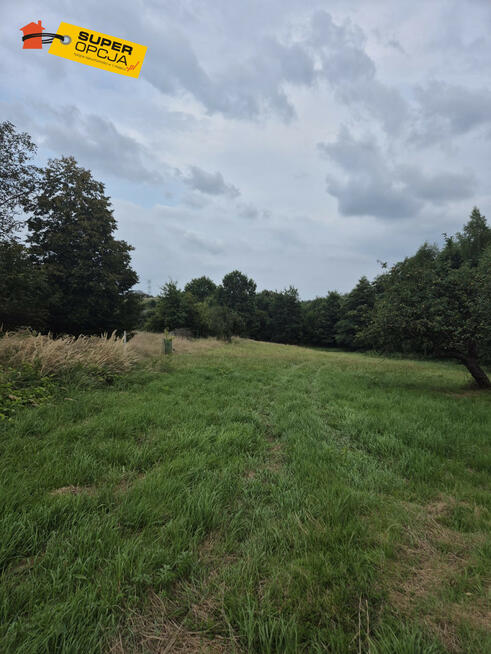 Działka rolna Wiśnicz Mały gm. Nowy Wiśnicz,