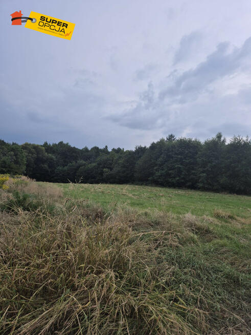 Działka rolna Wiśnicz Mały gm. Nowy Wiśnicz,
