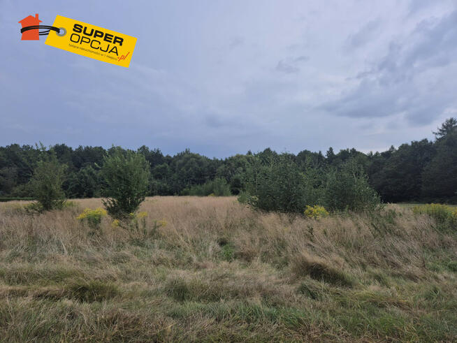 Działka rolna Wiśnicz Mały gm. Nowy Wiśnicz,