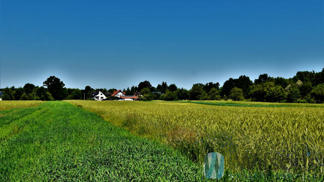 Działka budowlana Kuligów gm. Dąbrówka, Wojska Polskiego