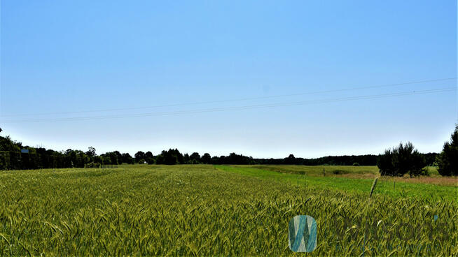 Działka budowlana Kuligów gm. Dąbrówka, Wojska Polskiego