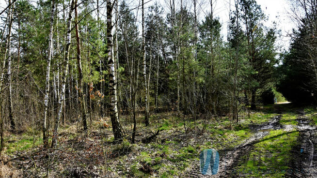 Działka rekreacyjna Ludwinów gm. Dąbrówka,