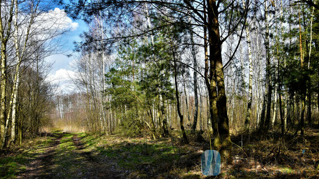 Działka rekreacyjna Ludwinów gm. Dąbrówka,