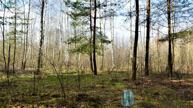 Działka rekreacyjna Ludwinów gm. Dąbrówka,