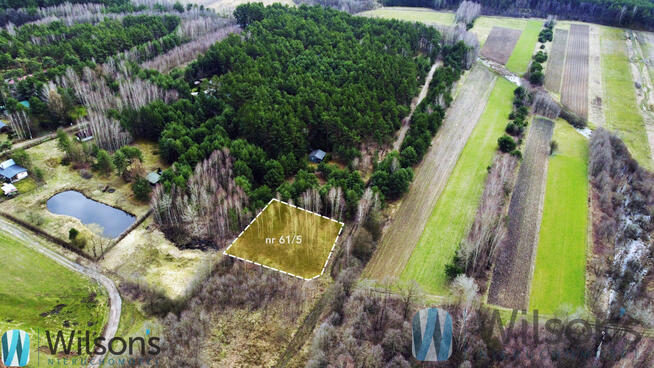 Działka rekreacyjna Ludwinów gm. Dąbrówka,