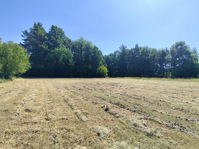 Działka budowlana blisko Kazimierza Dolnego i Mięćmierza