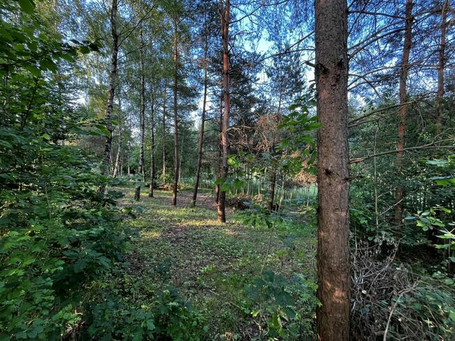 Działka rekreacyjna nad jeziorem (sprzedam lub zamienię)