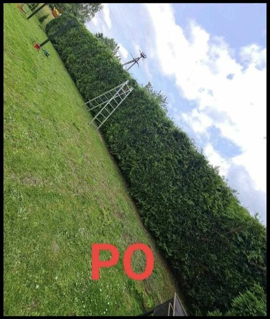 Koszenie traw, wycinka drzew, skracanie żywopłotu!