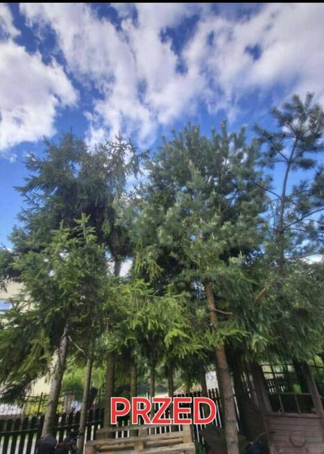 Koszenie traw, wycinka drzew, skracanie żywopłotu!