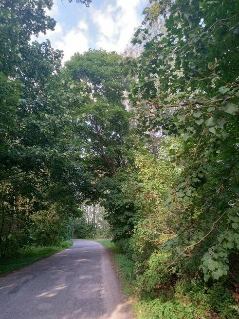 Sprzedam działkę, jezioro, pomost, dostęp