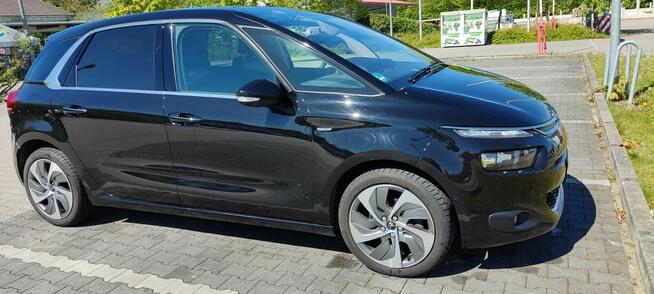 Sprzedam Moją Cytrynkę