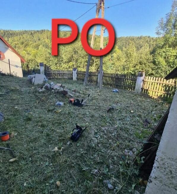 Koszenie traw, wycinka drzew, skracanie żywopłotu!