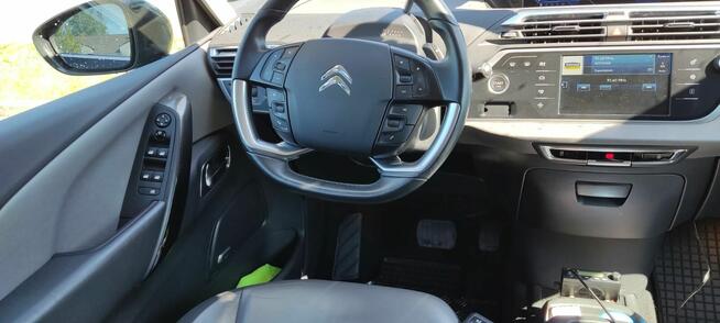 Sprzedam Moją Cytrynkę