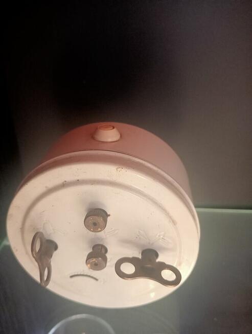 Budziki z minionej epoki -sprawne