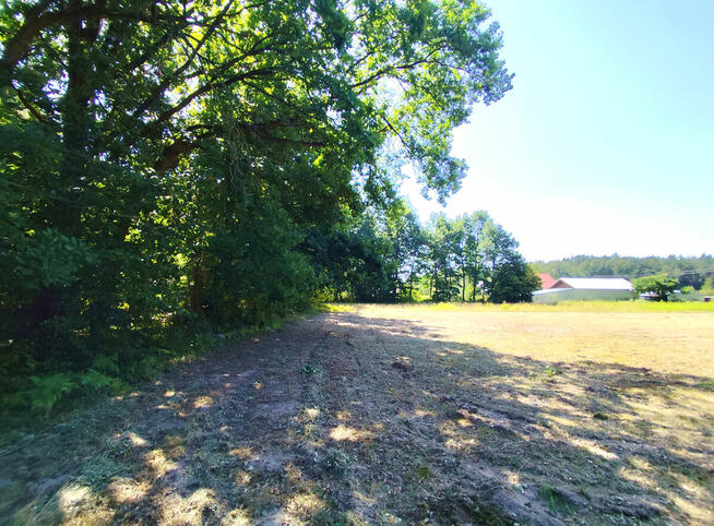 Działka budowlana blisko Kazimierza Dolnego i Mięćmierza