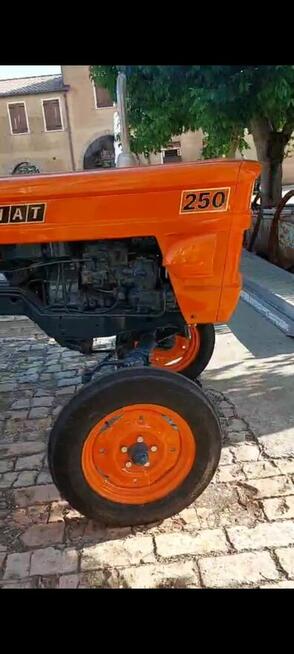 Traktor zabytkowy Fiat 250 1981