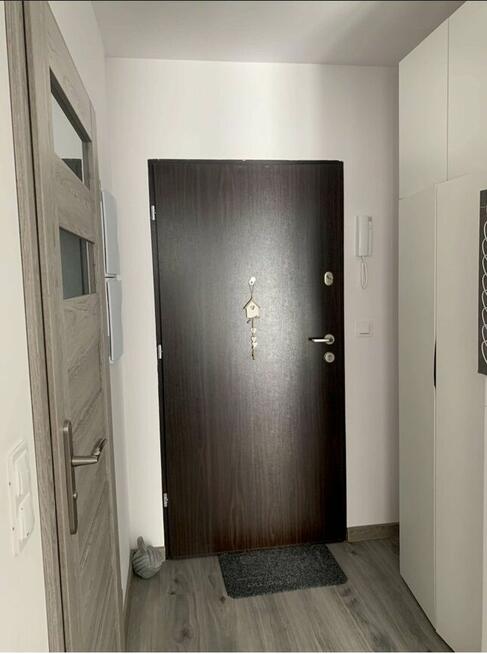 mieszkanie do wynajęcia