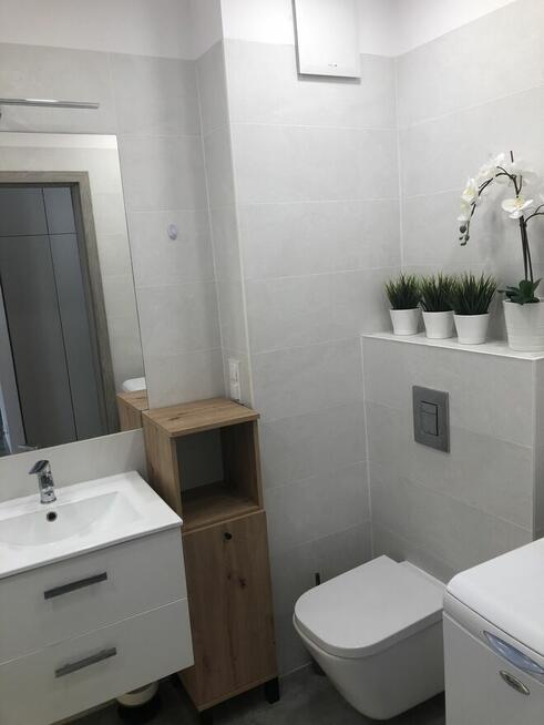 mieszkanie do wynajęcia