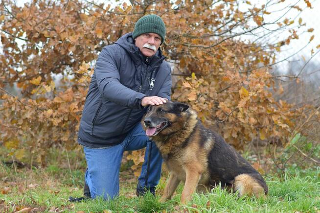 Borys - w typie Owczarek niemiecki; lubi spacery i aportowan