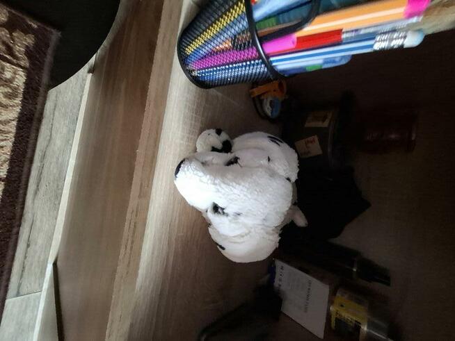 Regał pokojowy pojemny