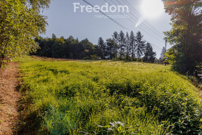 Dom z działką rolną w Łowczówku!